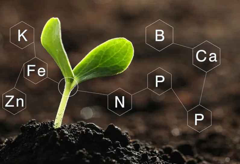 چالش‌های استفاده از نیتروژن در خاک