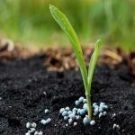 بهره‌گیری از نیتروژن در کشاورزی